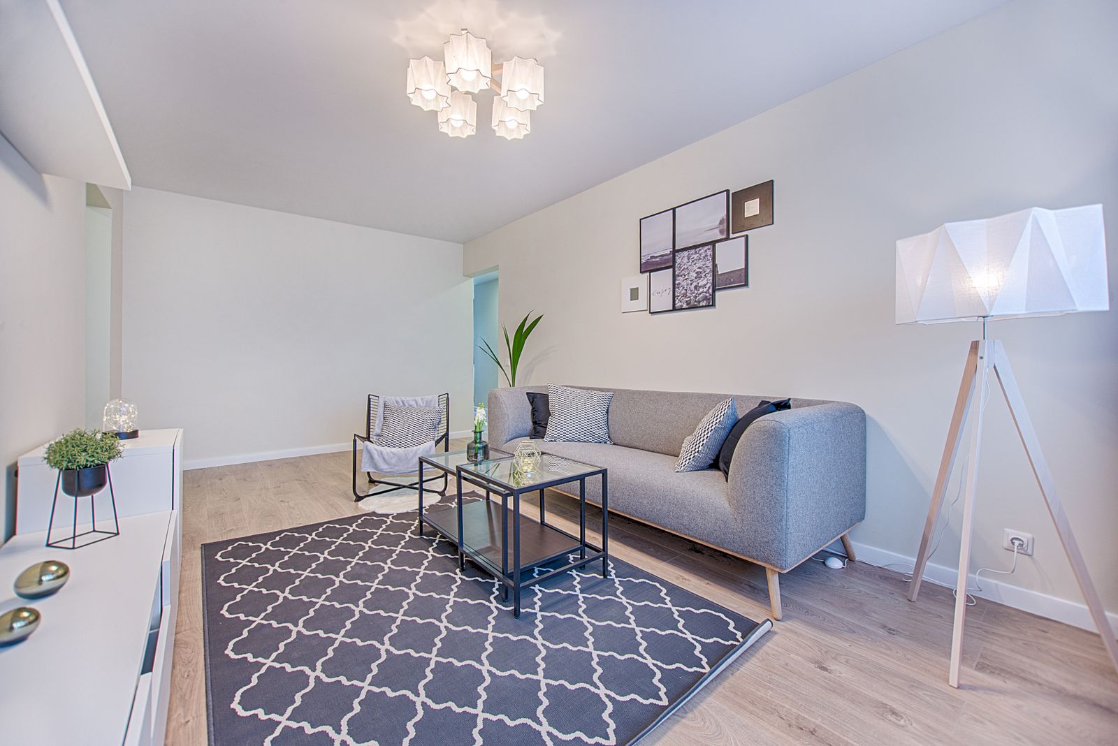 Living room with hanging and window treatments